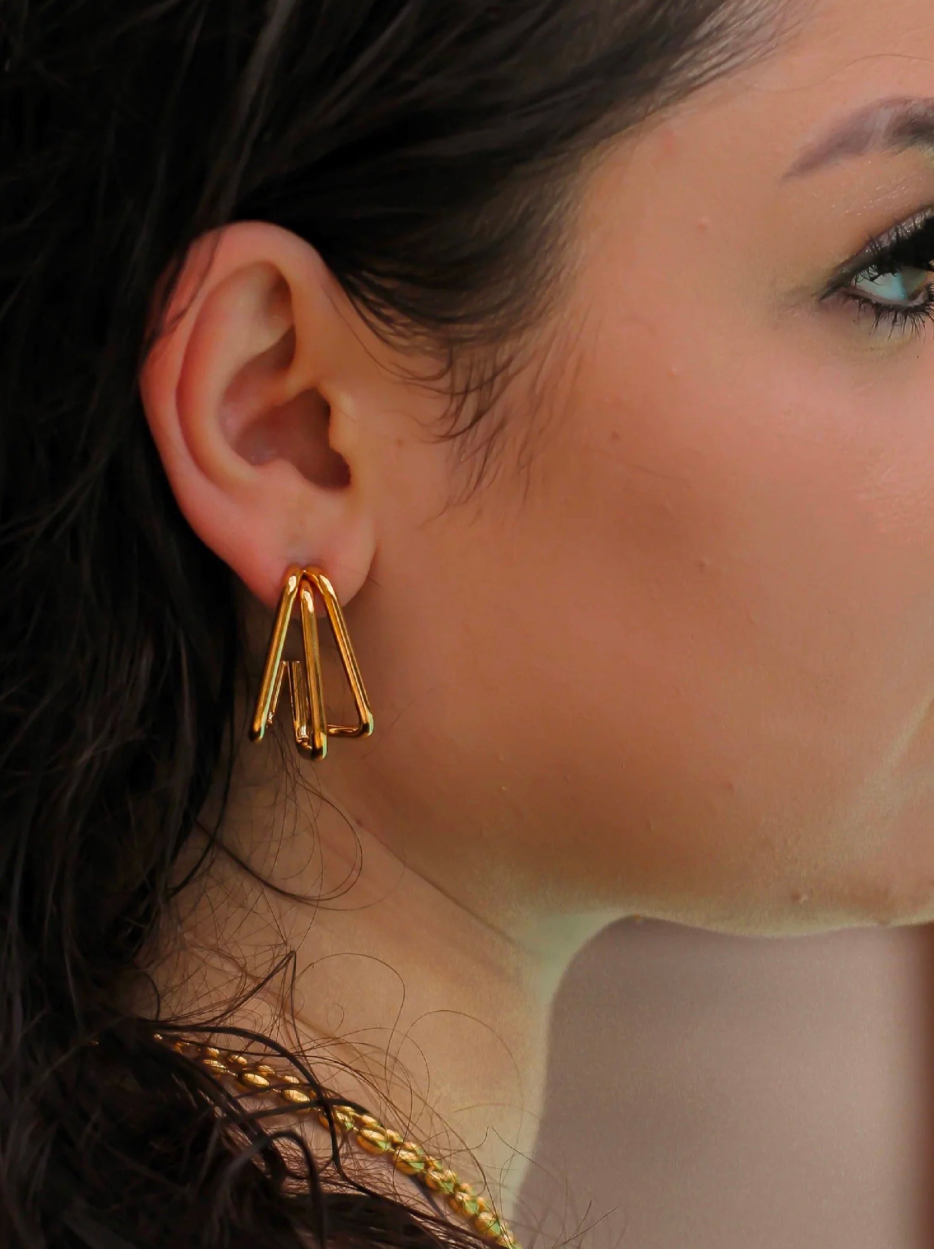 Hawk Earrings